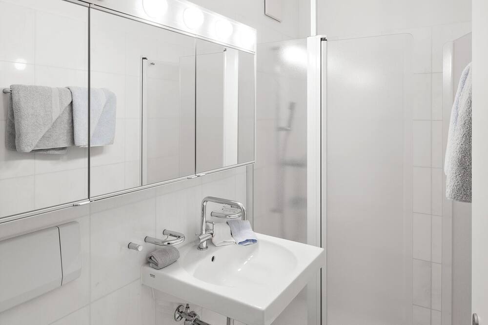 Photo of Bathroom in Meilen District