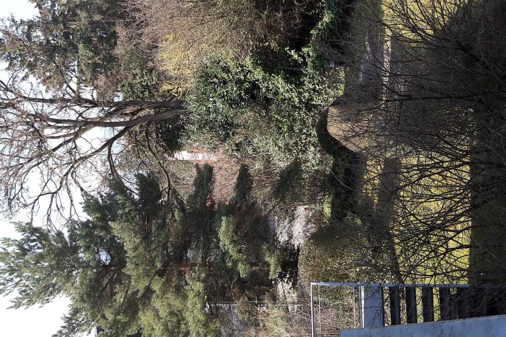 Photo of Others in Meilen District