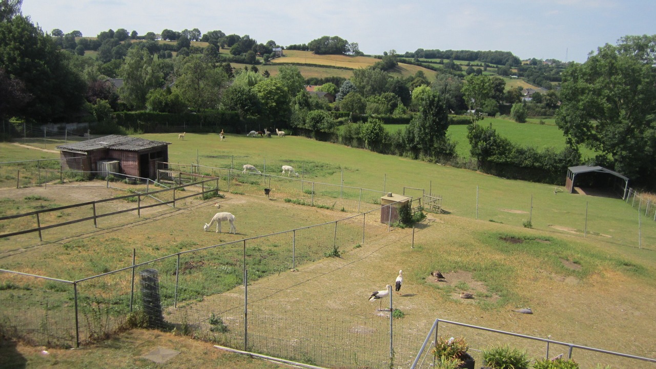 Photo of Outdoor in Baelen