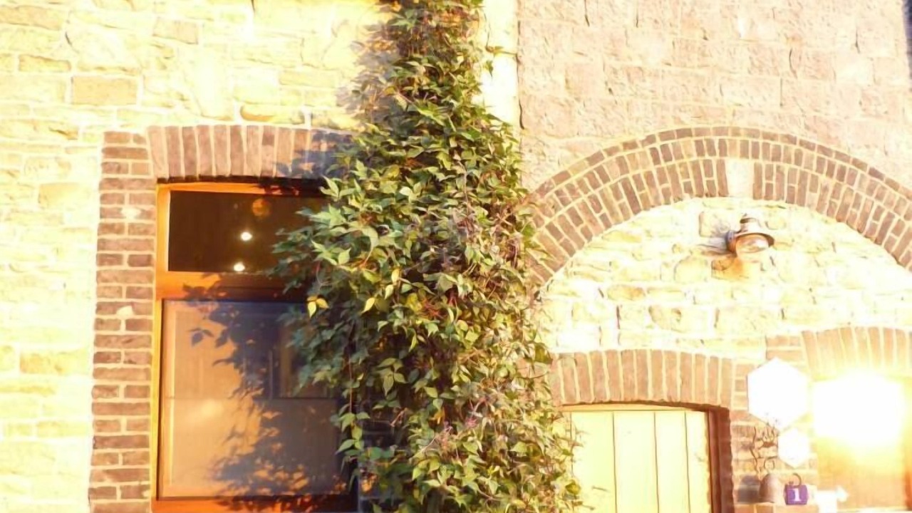 Photo of Outdoor in Tinlot