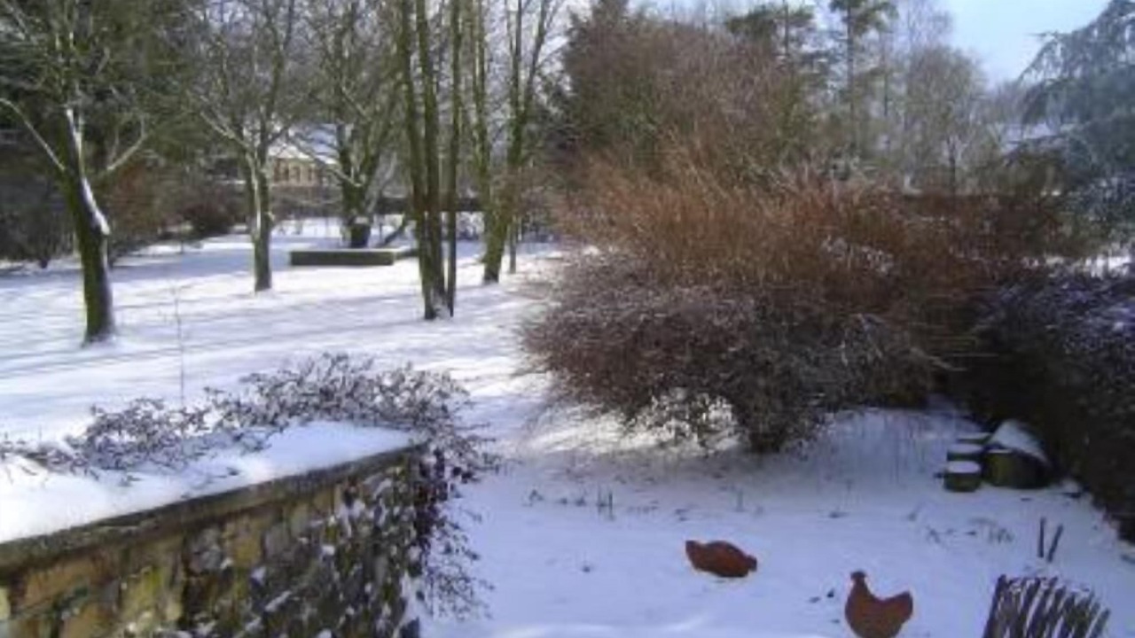 Photo of Outdoor in Tinlot