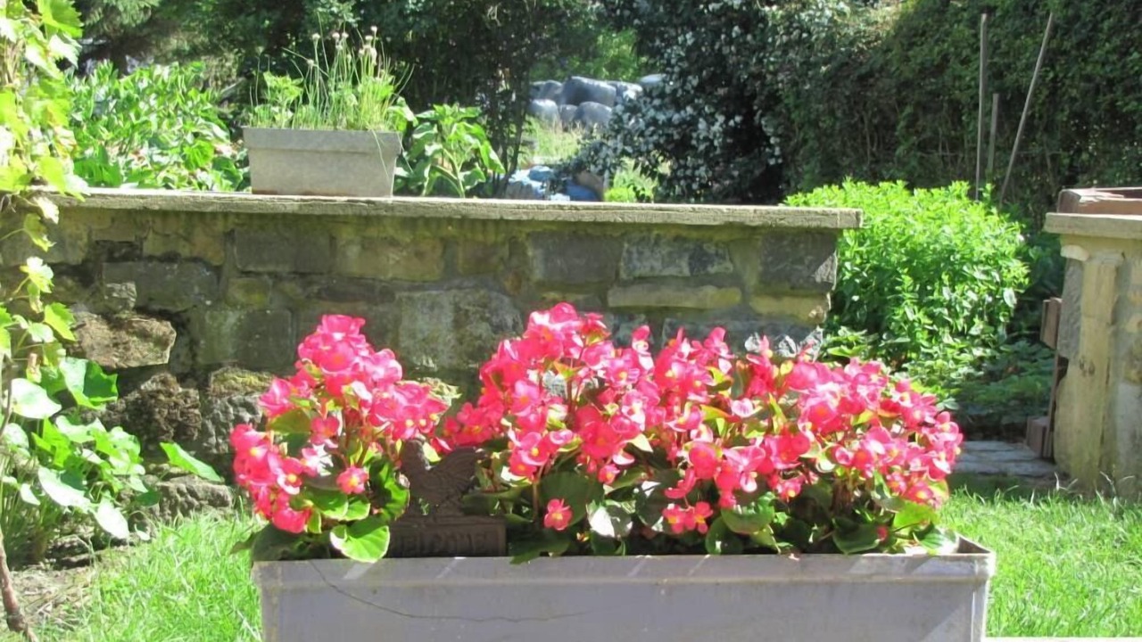 Photo of Outdoor in Tinlot