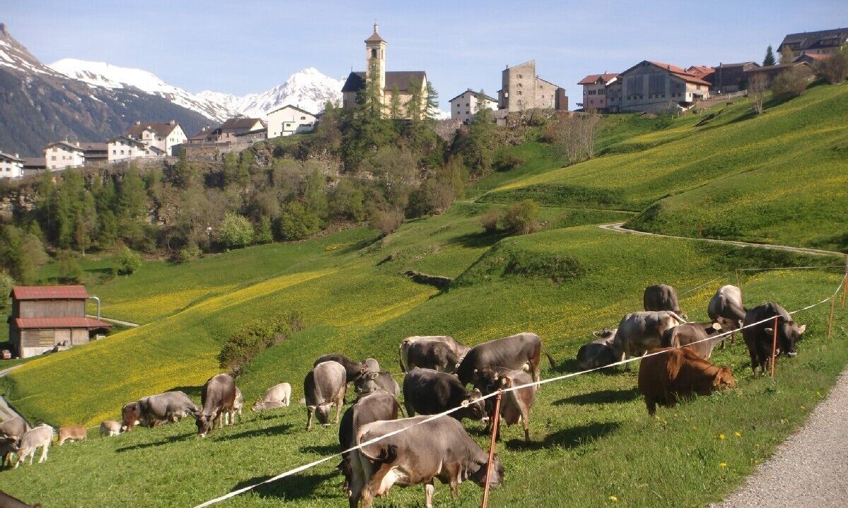 Photo of Outdoor in Stierva
