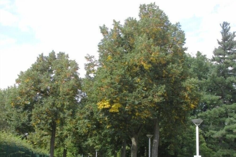 Photo of Others in Iserlohn