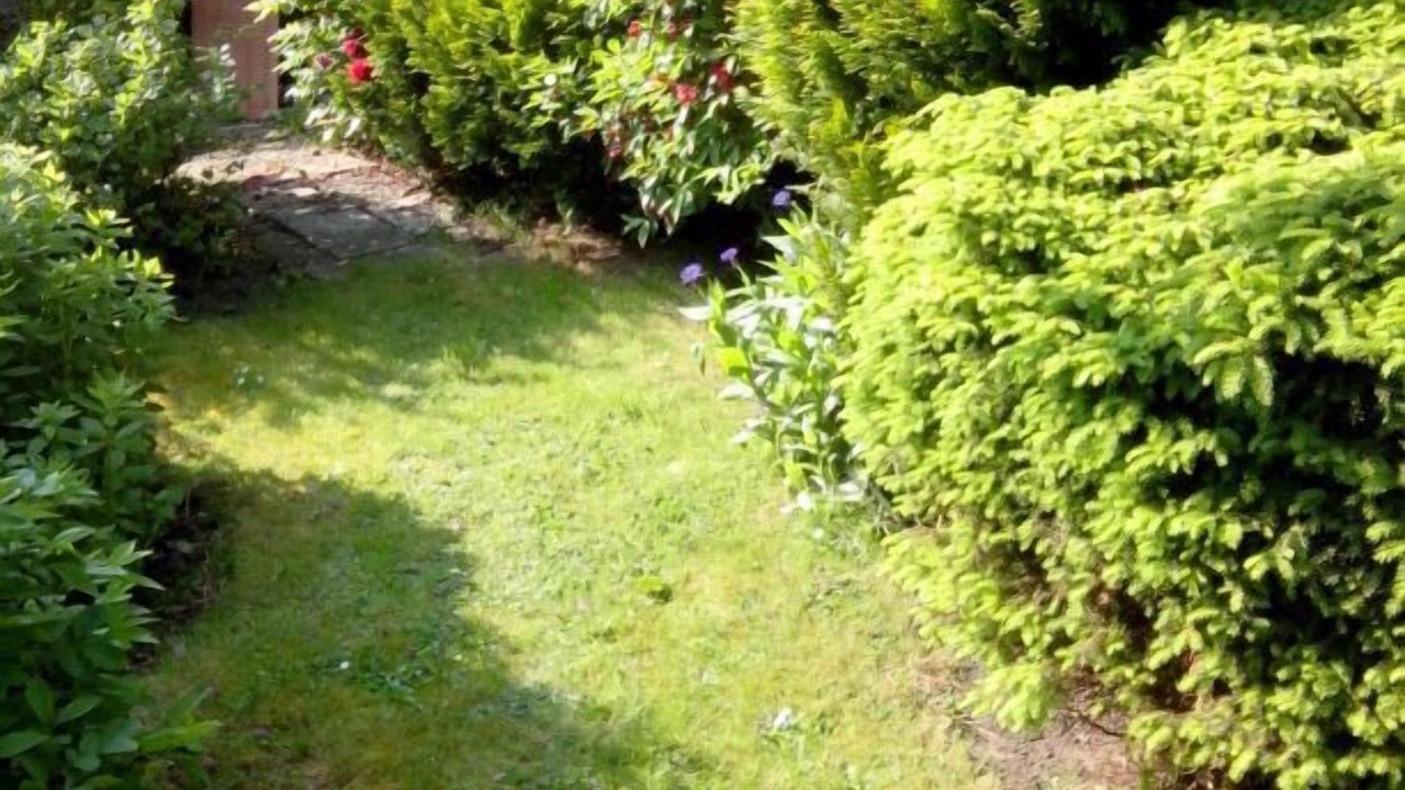 Photo of Outdoor in Wilhelmshaven