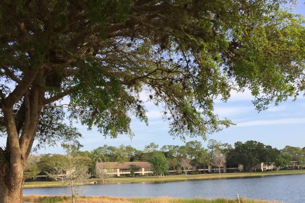 Photo of Outdoor in Kings Lake