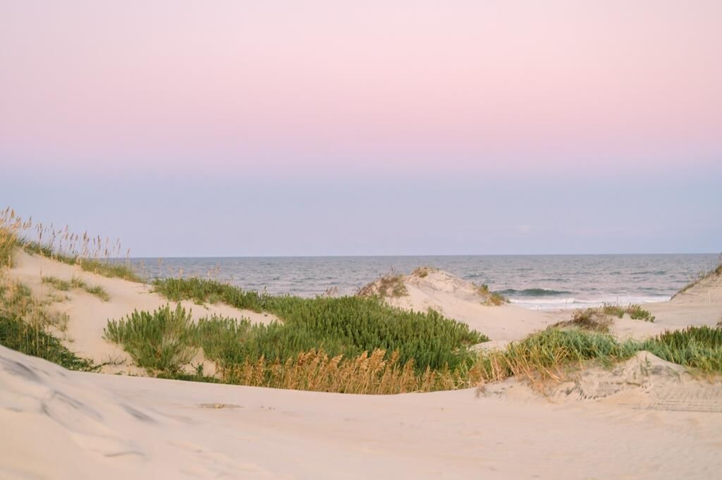 Photo of Others in South Nags Head