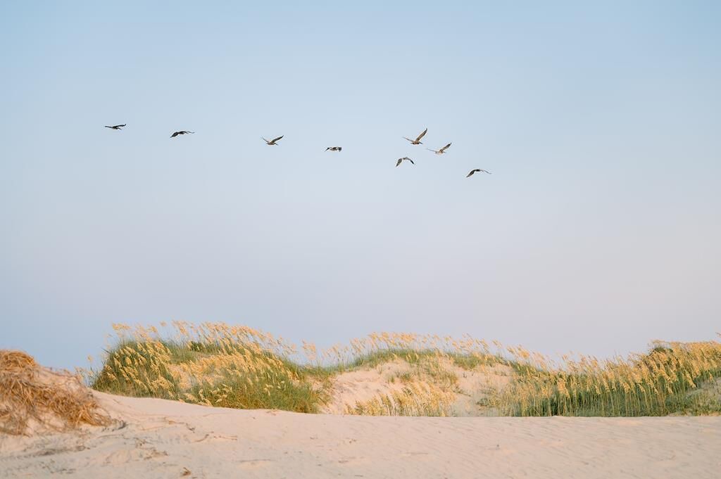 Photo of Others in South Nags Head