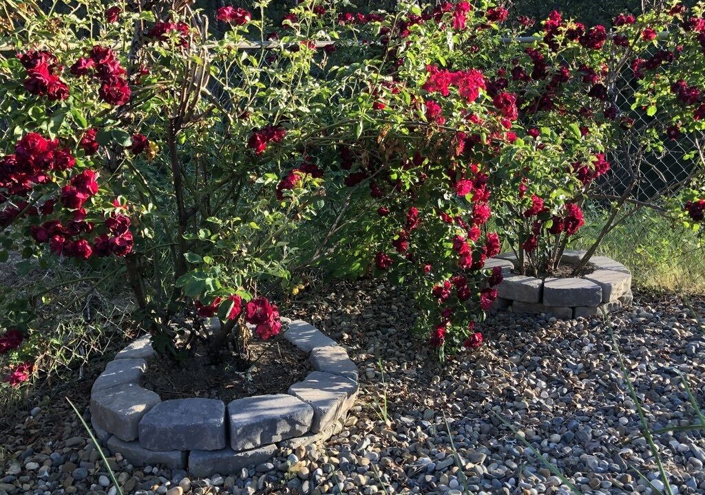 Photo of Outdoor in Midpines