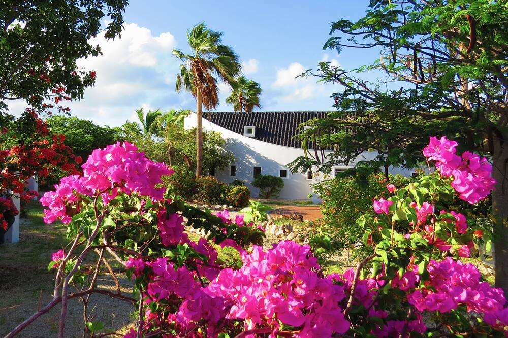 Photo of Outdoor in Sabadeco