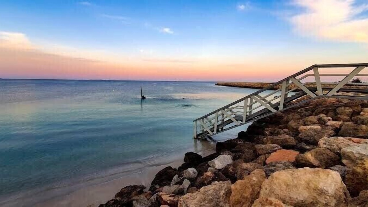 Photo of Others in North Coogee