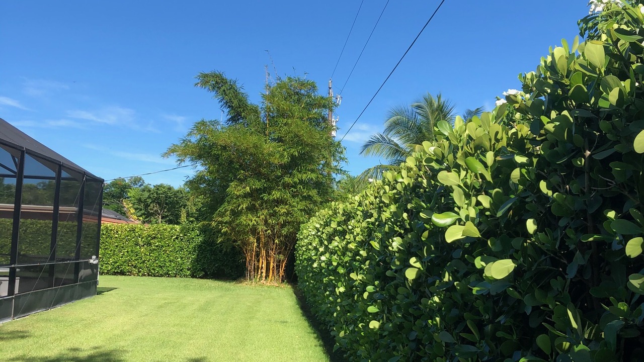 Photo of Outdoor in Cutler Bay