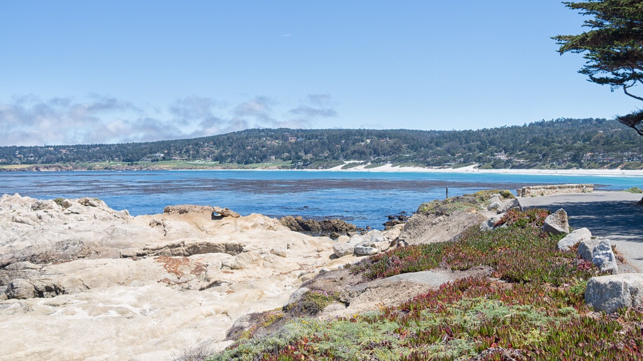 Photo of Others in Carmel Point