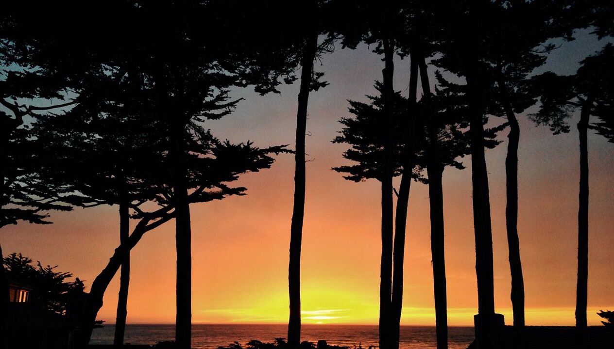 Photo of Livingroom in Carmel Point