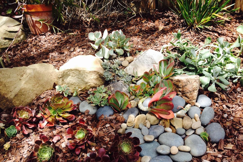 Photo of Outdoor in Mission Canyon