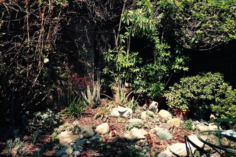 Photo of Outdoor in Mission Canyon