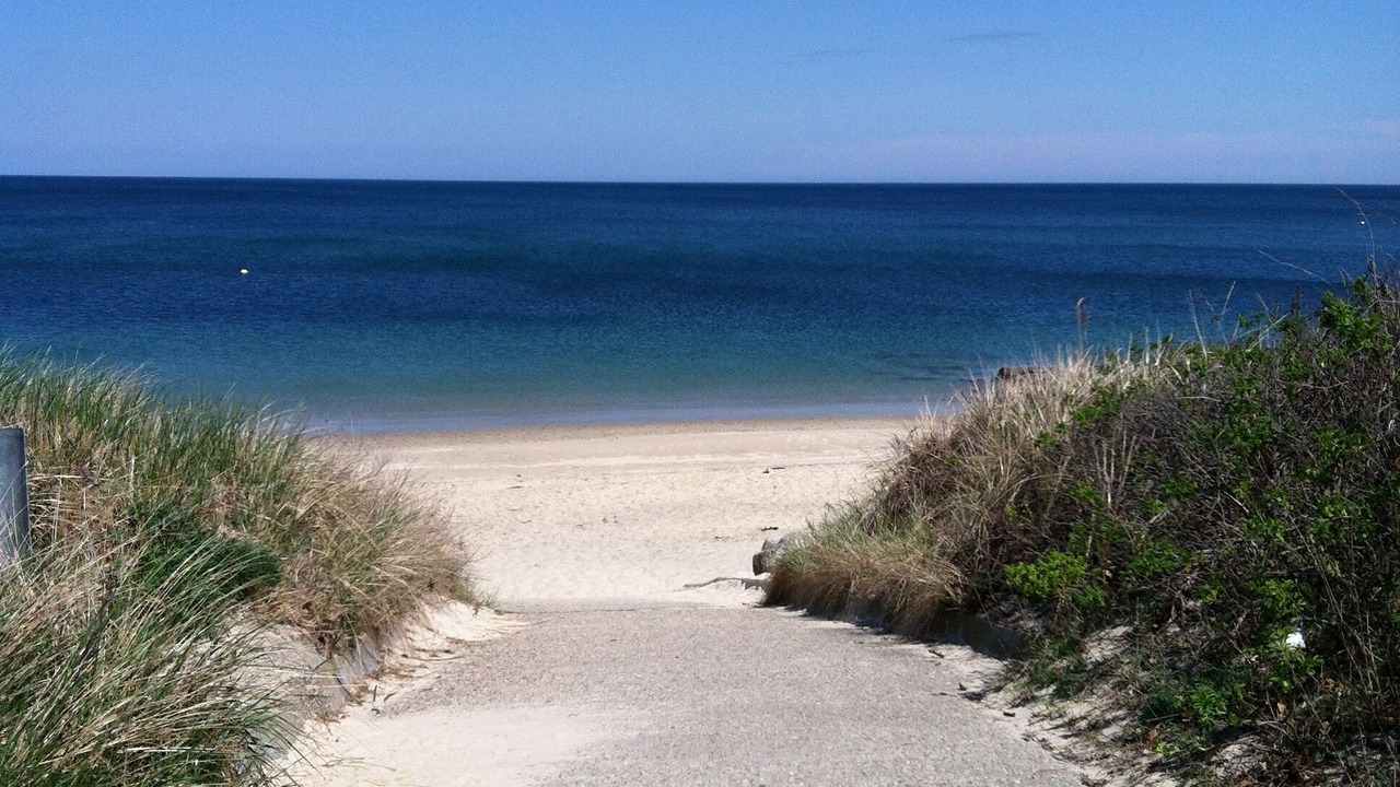 Photo of Others in Sagamore Beach