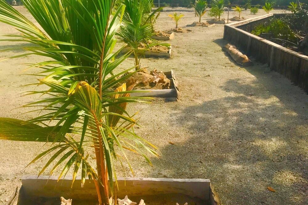 Photo of Others in Dangriga