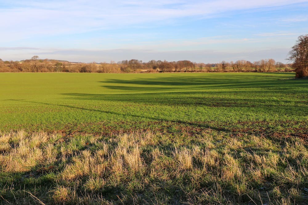 Photo of Others in East Linton