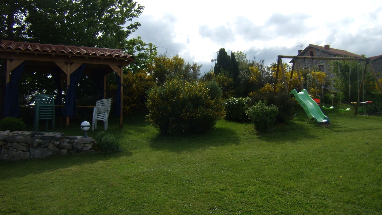 Photo of Outdoor in Felines