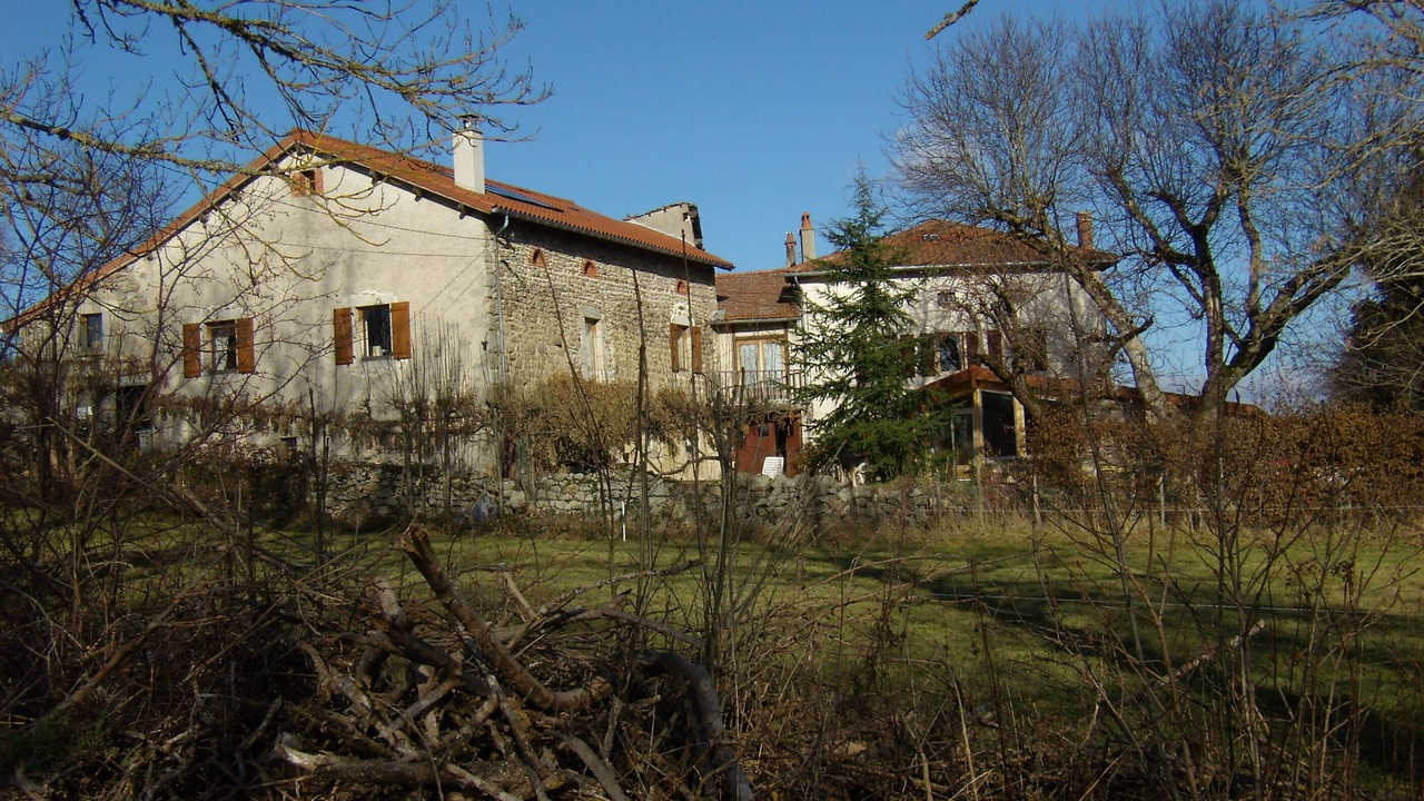 Photo of Outdoor in Felines