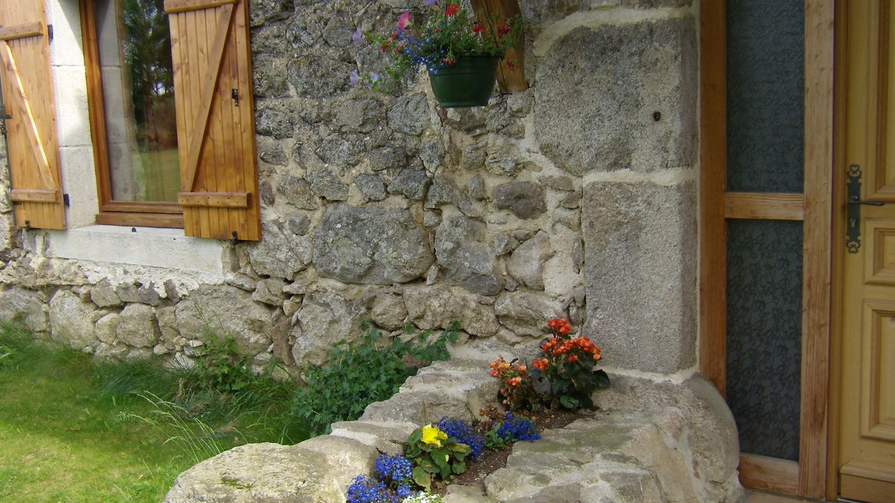 Photo of Outdoor in Felines