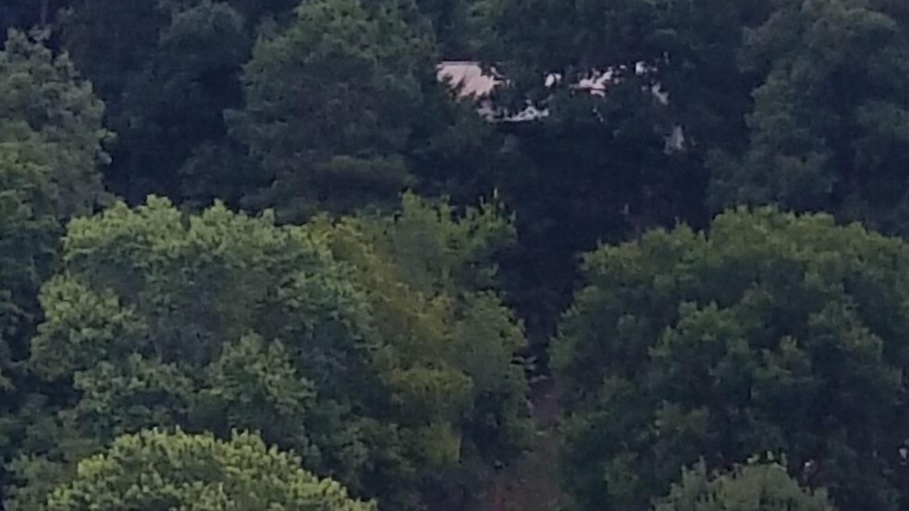 Photo of Outdoor in Waverly