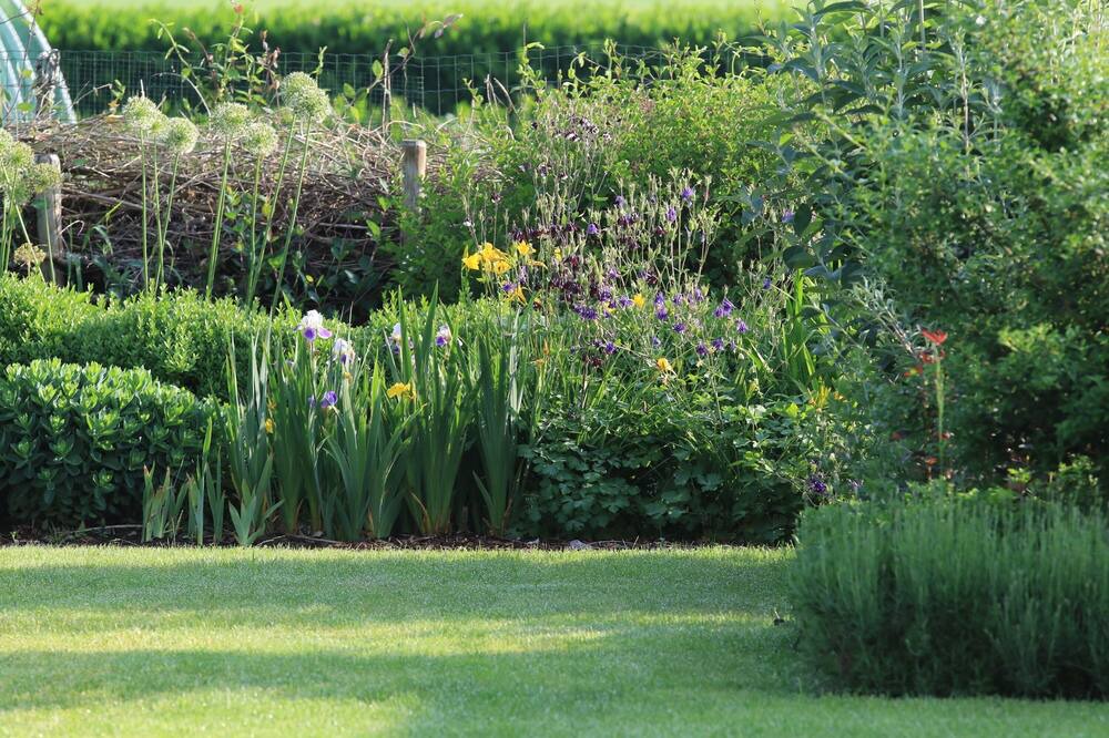 Photo of Outdoor in Lommel