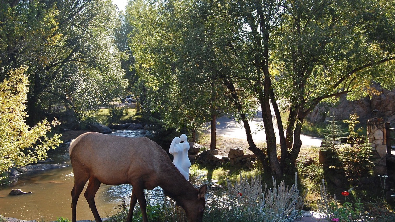 Photo of Outdoor in Evergreen