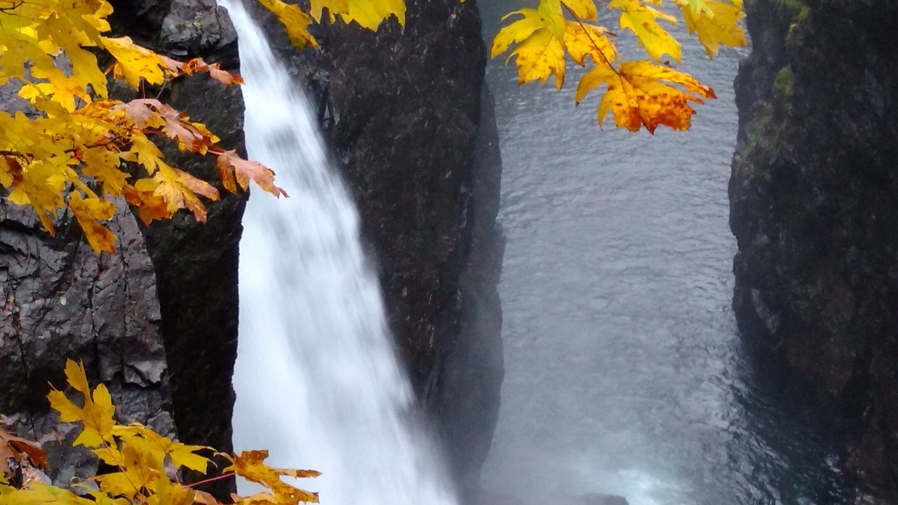 Photo of Outdoor in Campbell River