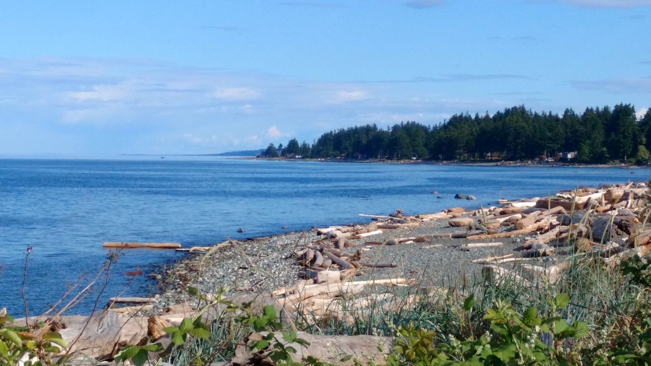 Photo of Others in Campbell River