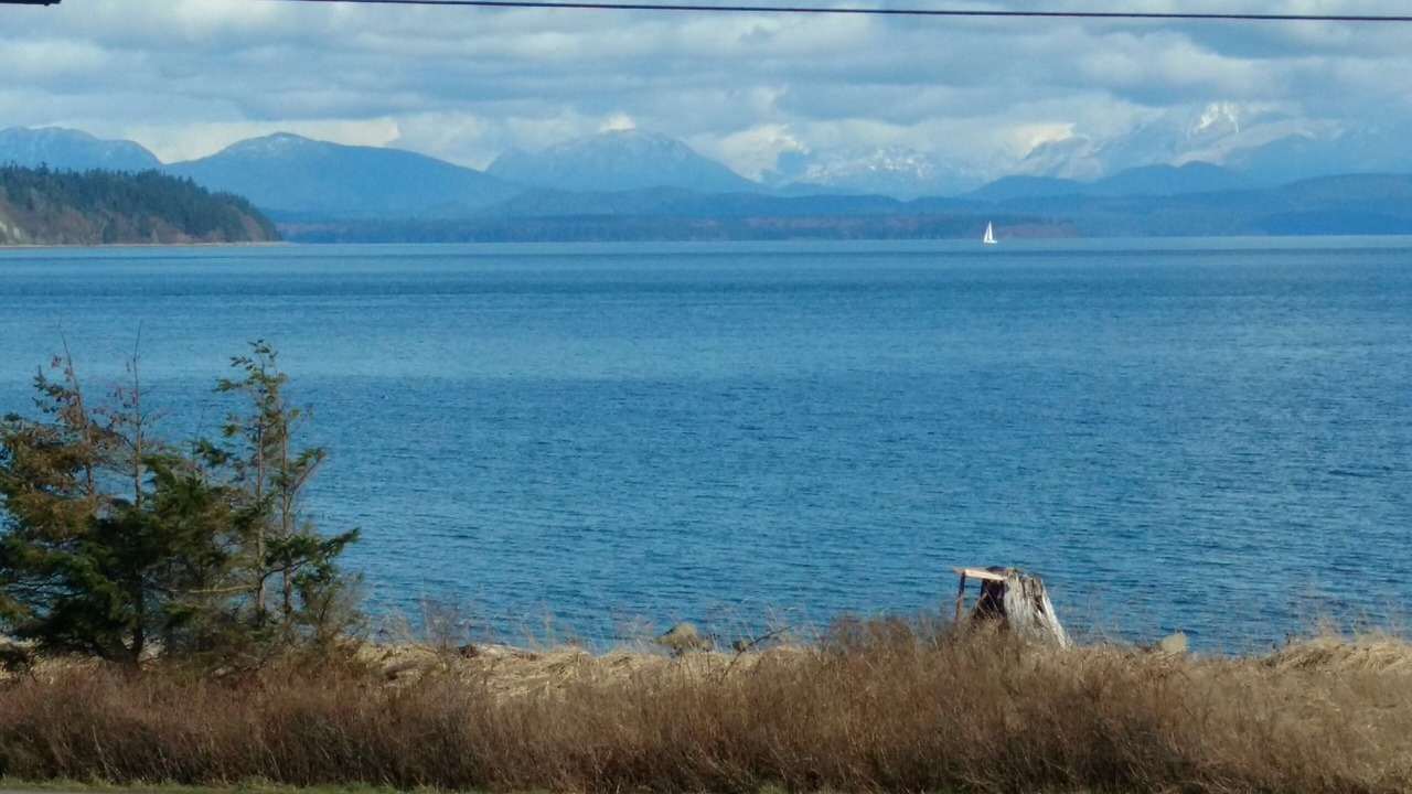 Photo of Others in Campbell River