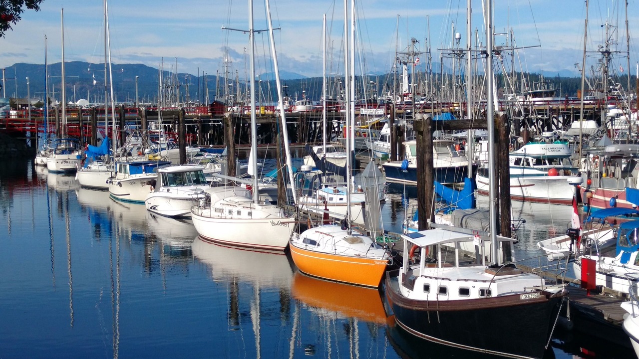 Photo of Others in Campbell River