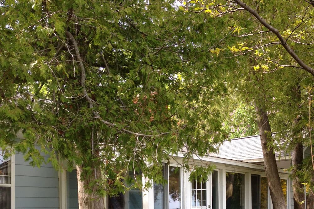 Photo of Outdoor in Northport