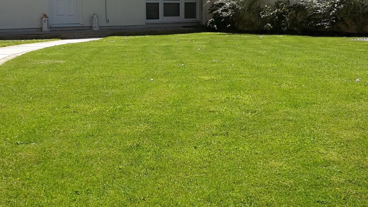 Photo of Outdoor in Edern