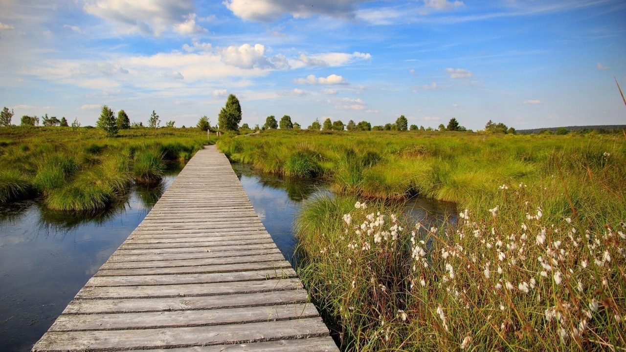Photo of Outdoor in Roetgen