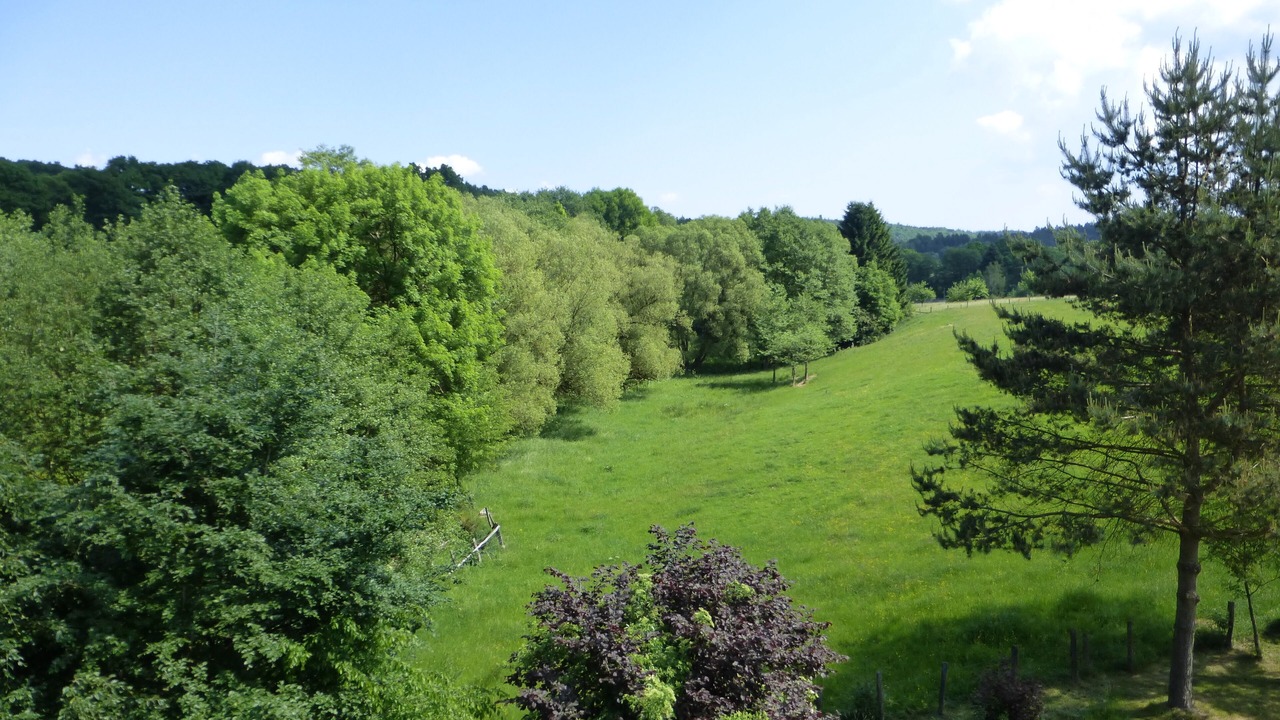 Photo of Outdoor in Roetgen