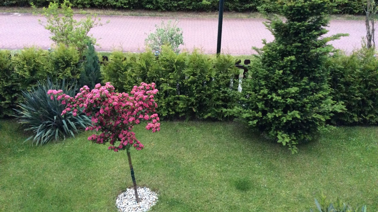 Photo of Outdoor in Wolzig