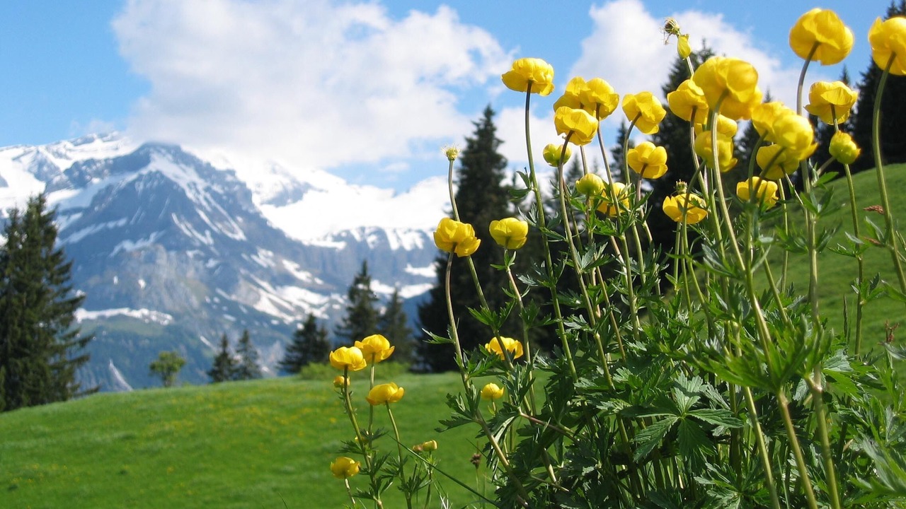Photo of Outdoor in Chateau-d'Oex
