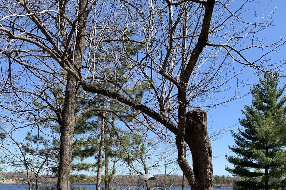 Photo of Outdoor in Pine City