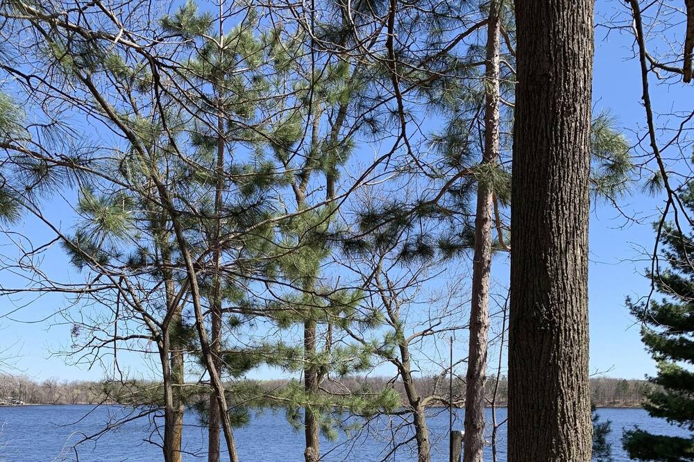 Photo of Outdoor in Pine City