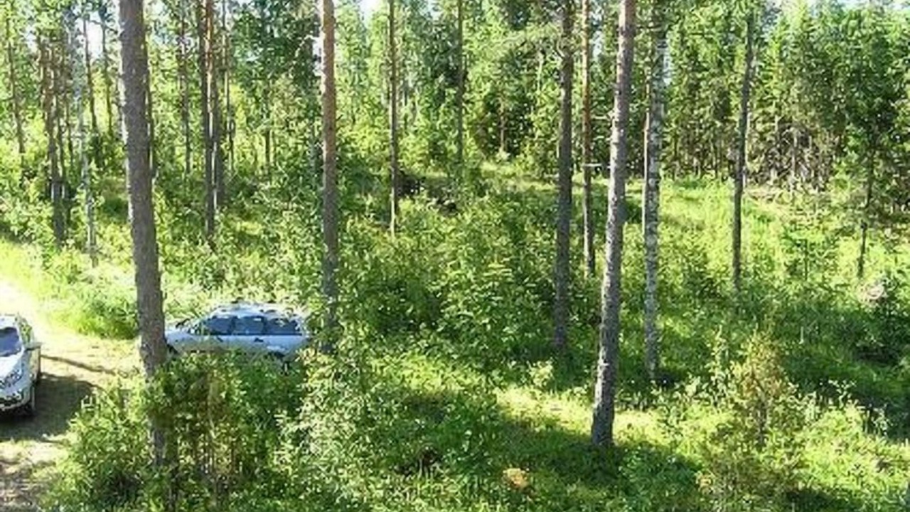 Photo of Outdoor in Rantasalmi