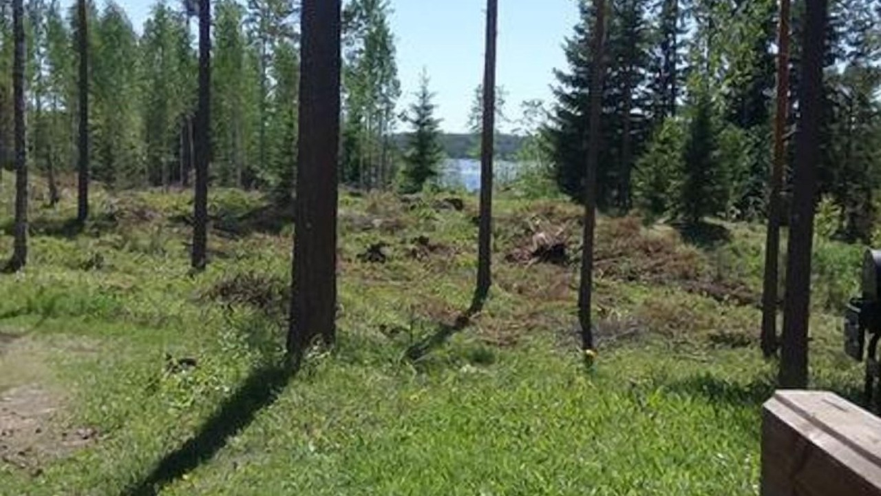 Photo of Outdoor in Rantasalmi