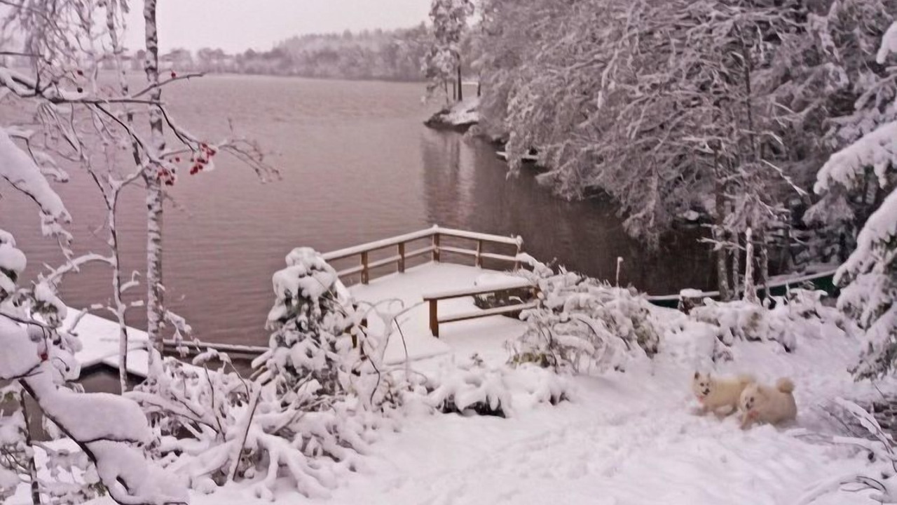 Photo of Outdoor in Myrskyla