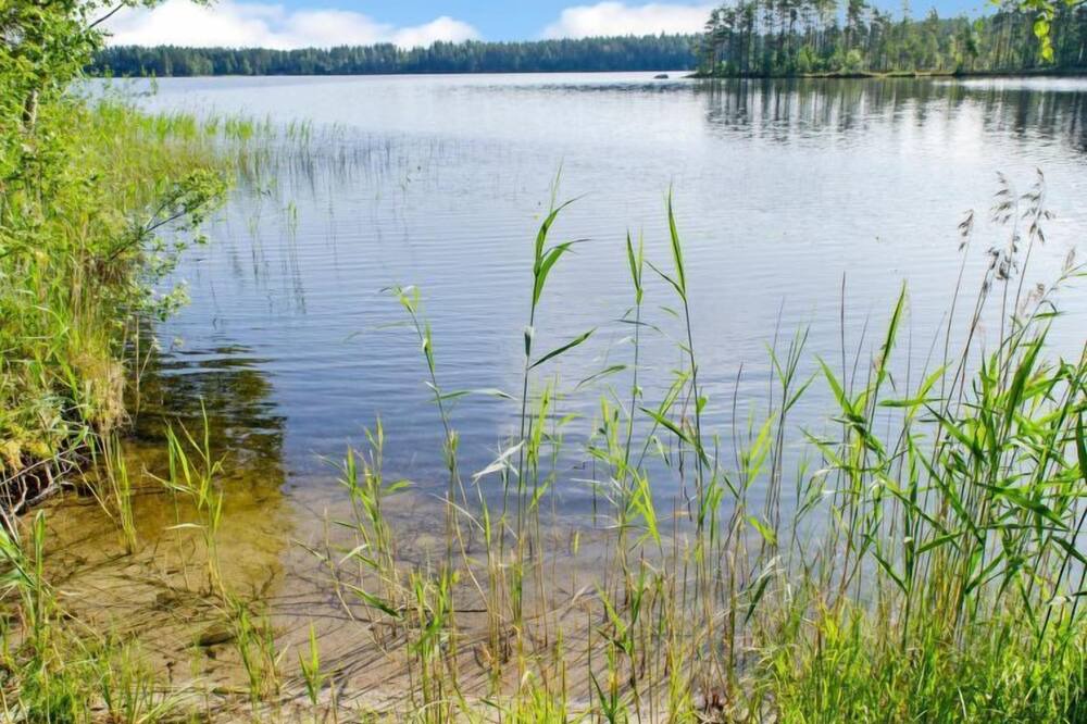 Photo of Outdoor in Koli National Park