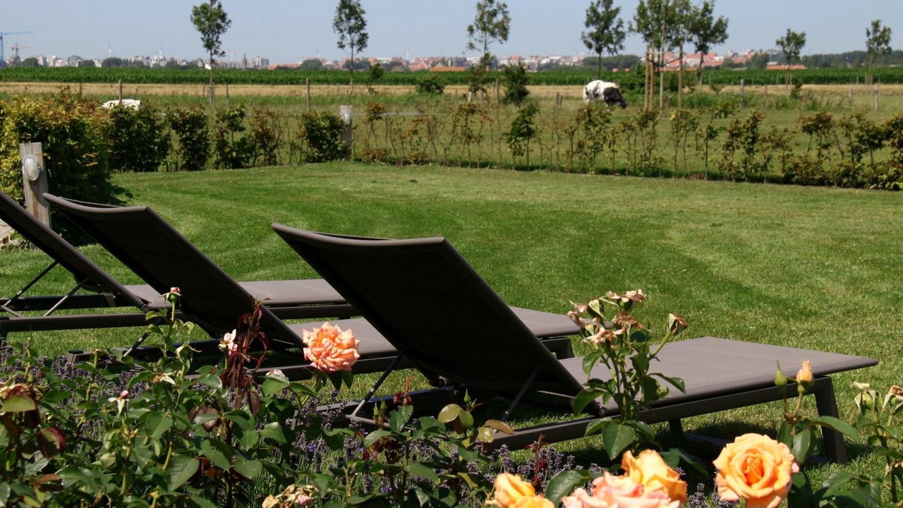 Photo of Outdoor in Knokke-Heist