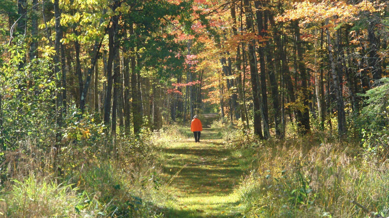 Photo of Outdoor in Finlayson