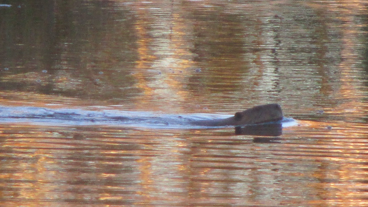 Photo of Outdoor in Finlayson