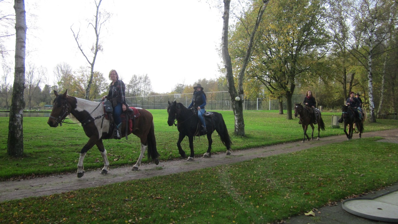 Photo of Outdoor in Reppel