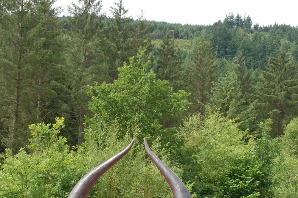 Photo of Others in Bronaber